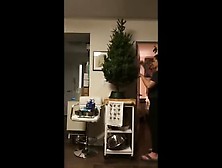 Dani Daniel Decorates Christmas Tree