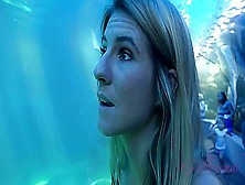 Tara Loves Checking Out The Aquarium And Squirting In The Car! - Tara Ashley