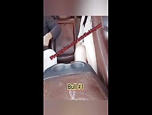 Cuckold Drives While Hotwife Rides Two Bulls In Backseat,  Cuck-Old Gets Very Sloppy Thirds - - Onlyfans Prev