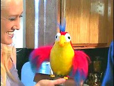 Polly Wants Anal