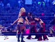 Wwe Wrestlemania 25 Divas Battle Royal