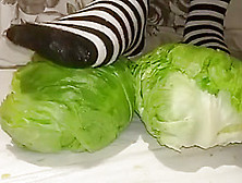 Striped Socks Crush Lettuce