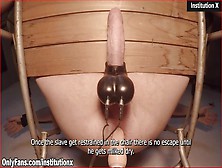 Watch Ass Sex Dildo And Testicle Stimulation - Semen Production Increase Procedure Free Porn Video On Fuxxx. Co