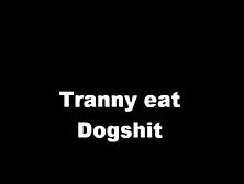 Tranny Eating Fresh Shit