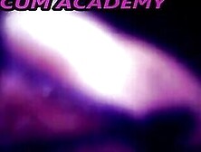 Cum Academy 2
