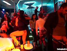 Dirty Club Babes Loves Hard Cock