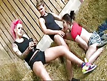 Threesome At The Hayloft