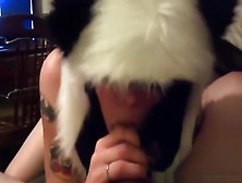 American Girl In Panda Outfit Sucks Cock And Swallows