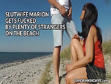 Amateur Wife With Strangers On Beach