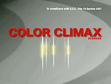 Color Climax - Anal Specialist Vintage Porn Tv
