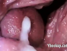 Camera Inside Vagina Showing Cum
