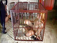 Slutty Caged Lady-Man Serf