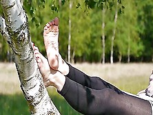 Bare Feet On Birch Tree