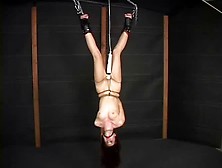 Perfect Slave Forced Orgasms