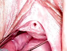 Pjgirls Cooking Talent - Extreme Close Up Of Vagina -