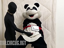 Mascot Panda Trying To Escape