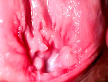 Super Close Up - This Is What The Inside Of The Vagina Looks Like