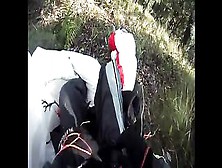 Eagle Flies Directly Into Paraglider's Chute