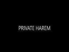 Private Harem 1