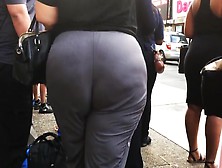 Wide Bbw Booty In Grey Pants
