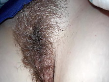 Wife's Hairy Pussy At Rest