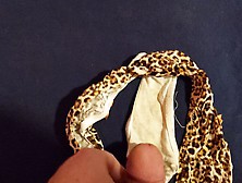 Cum On Teen's Leopard Print Panties