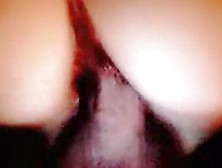 Interracial Vid Of Doggy Pene Closeup Of Hairy Ass