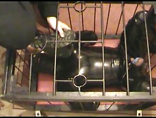 The Rubberpet In The Cage