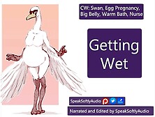 Hbp- Taking A Bath With Gigantic Pregnant Mama Swan F/a