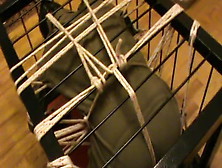 Restrained To A Cage - 1