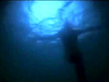 Groland Nue - Les Gencives De La Mer