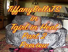 Tiffanybellsts In Tgirl In Heat Part 2 Preview