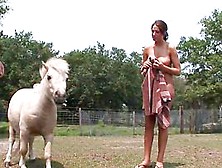 Springbreaklife Video: Naked Farm