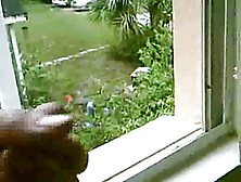 Holiday Hotel Flash Cock At Male Gardener