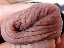 Foreskin With Precum Lots!