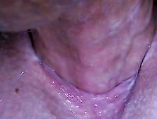 Wifes Pussy Fucked