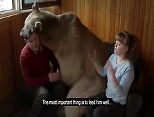 Family In Soviet Union Eat Breakfast With Pet Bear.  Bear Has Orgasms After Eating Cake