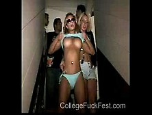 College Fuck Fest - Lambda Kappa Lambda Sorority Bitches Fucking