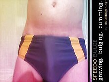 Speedo Bulge - Growing.  Bulging.  Cumming.