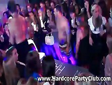 Party Amateur Babes Fuck Strippers In Public