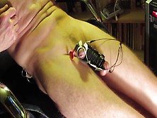 Multiple Orgasms From E-Stim
