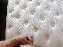 Pissing On The Hotel Mattress Set Of