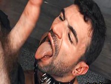 Gay Stud X - Hairy Gay In Leather Harness Barebacked In Closeup Pov Video