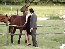Horny Vintage Xxx Video From The Golden Period