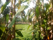 Nature Sex..  Sex With Banana Tree..  Part 1