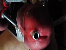 Cock And Ball Torture With A Stainless Tube Clothespins On Sack And Supah Nut-Juice