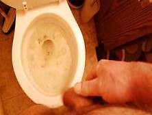 Pissing In A Dirty Toilet.