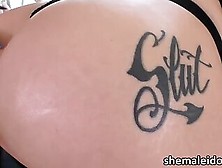 Full Bodied Tattooed Shemale Luna Love Shows How To Fuck A Female Babe