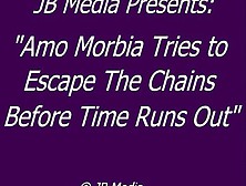 Amo Morbia Tries To Escape From Chains - Hq