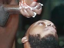 2 Black Shemale Fuck Lucky Guy,  Free Hd Porn